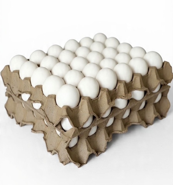 Maple de Huevos Nº1