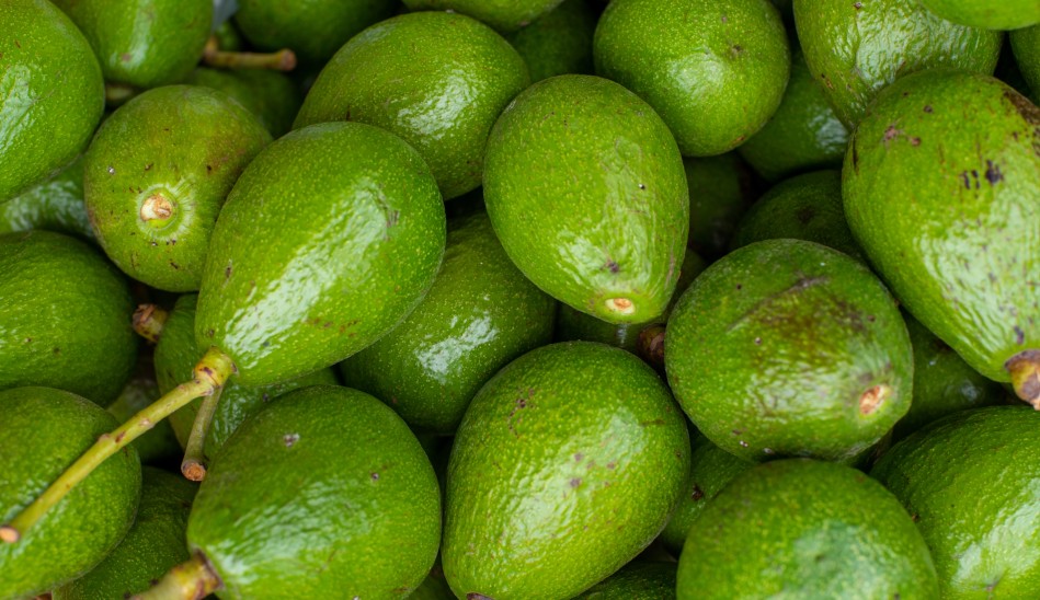 Palta Hass