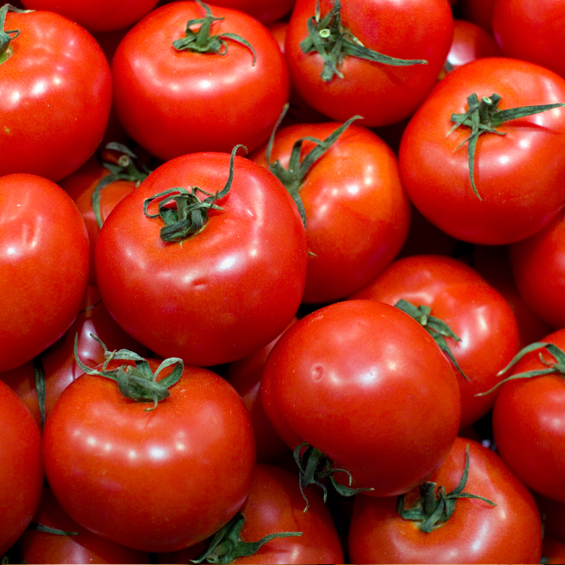 Tomate Redondo